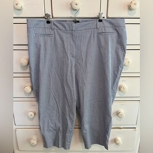 NWT Talbots Dark Blue Striped Pants Size 22W